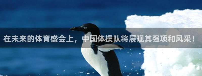 世界杯足球赛2026：在未来的体育盛会上，中国体操队将展现其强项和风采！