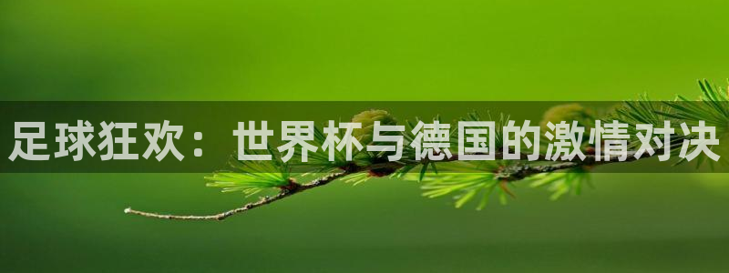 2026年世界杯赛程时间表格：足球狂欢：世界杯与德国的激情对决
