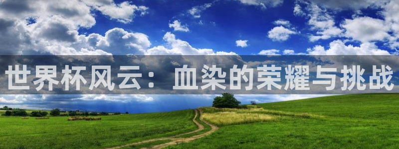世界杯今年：世界杯风云：血染的荣耀与挑战