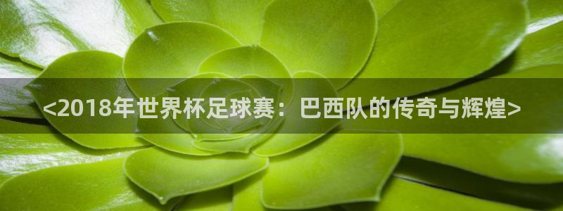 足球世界杯赛程：<2018年世界杯足球赛：巴西队的传奇与辉煌>