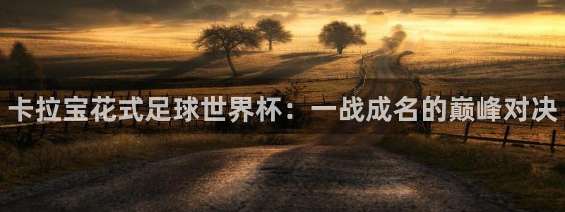 世界杯2026赛制：卡拉宝花式足球世界杯：一战成名的巅峰对决