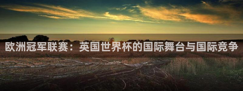 2026世预赛赛程表：欧洲冠军联赛：英国世界杯的国际舞台与国际竞争