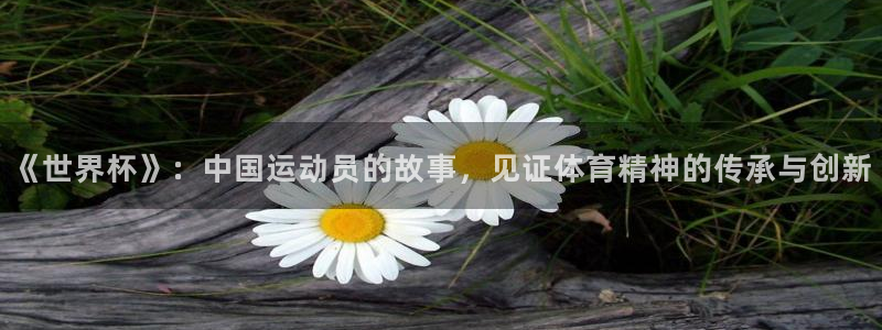 欧联杯直播：《世界杯》：中国运动员的故事，见证体育精神的传承与创新