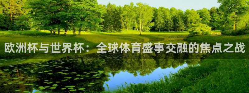 世界杯决赛预测：欧洲杯与世界杯：全球体育盛事交融的焦点之战