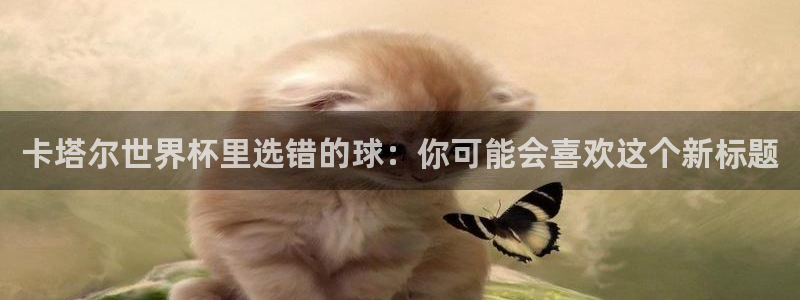 世界杯预选赛：卡塔尔世界杯里选错的球：你可能会喜欢这个新标题