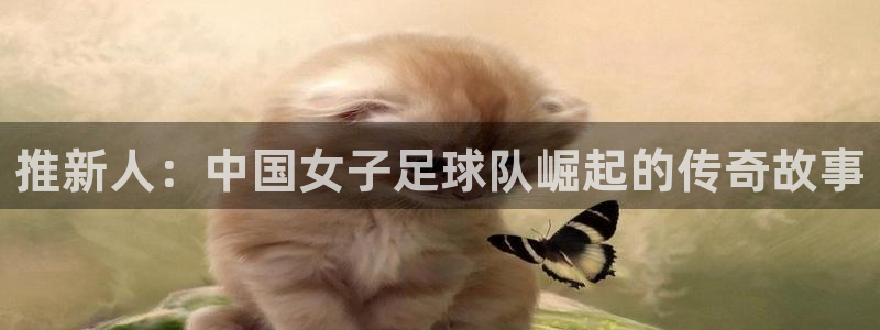 2026世界杯足球赛程时间表：推新人：中国女子足球队崛起的传奇故事