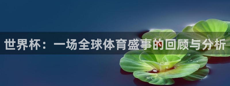 世界杯赛程表2026：世界杯：一场全球体育盛事的回顾与分析