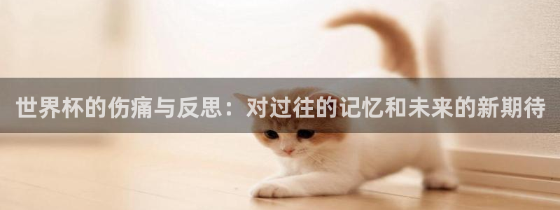 足球世界杯赛程：世界杯的伤痛与反思：对过往的记忆和未来的新期待