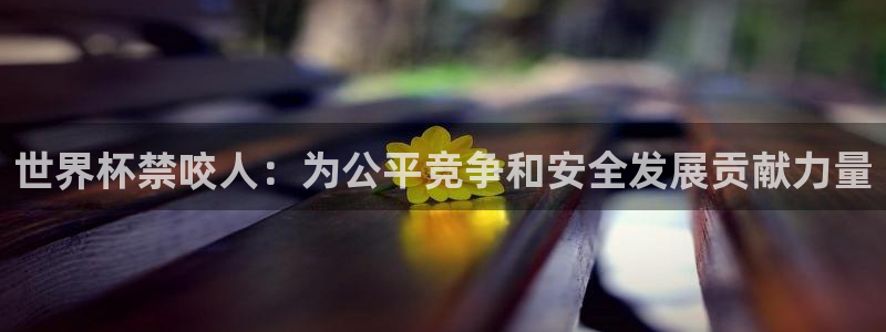 世界杯决赛直播：世界杯禁咬人：为公平竞争和安全发展贡献力量