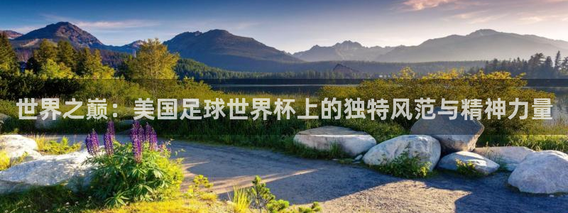 世界杯今年：世界之巅：美国足球世界杯上的独特风范与精神力量