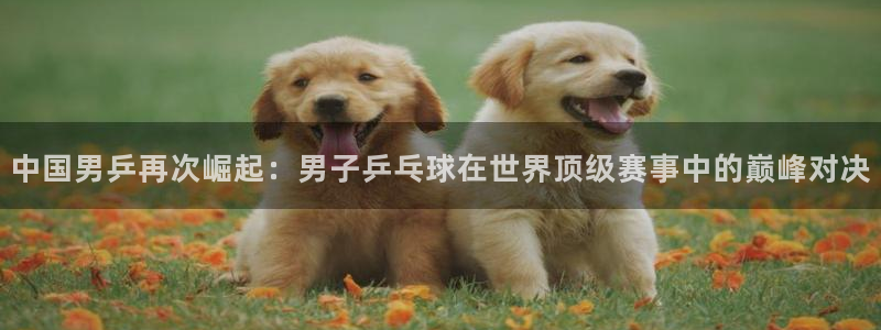 世界杯葡萄牙赛程：中国男乒再次崛起：男子乒乓球在世界顶级赛事中的巅峰对决