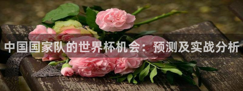 世界杯足球赛2026：中国国家队的世界杯机会：预测及实战分析
