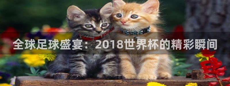 世界杯小组赛赛程：全球足球盛宴：2018世界杯的精彩瞬间