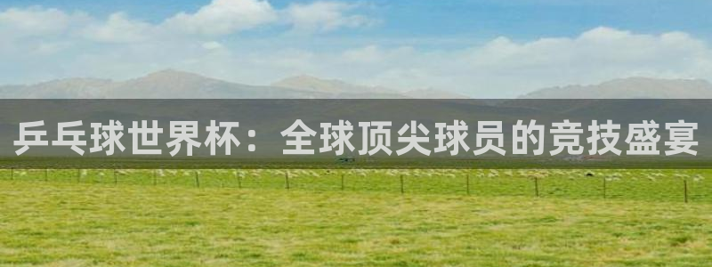 世界杯2026预选赛：乒乓球世界杯：全球顶尖球员的竞技盛宴