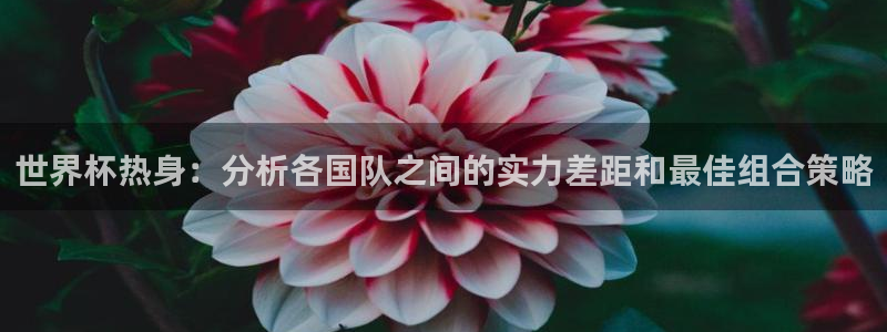 世界杯预选赛规则：世界杯热身：分析各国队之间的实力差距和最佳组合策略