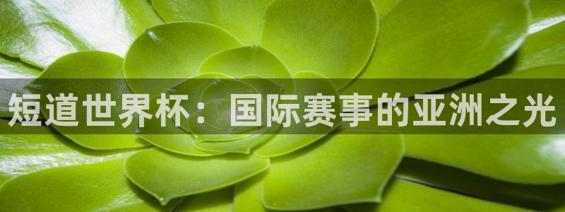 澳门世界杯直播：短道世界杯：国际赛事的亚洲之光