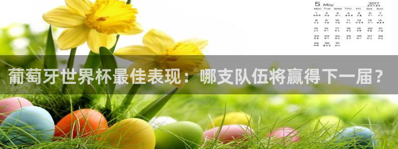 世界直播：葡萄牙世界杯最佳表现：哪支队伍将赢得下一届？